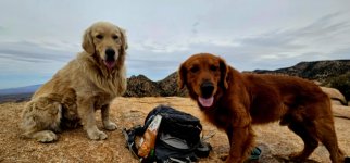 20250210_111105_copy_1200x560.jpg 20250210_111105_copy_1200x560.jpg