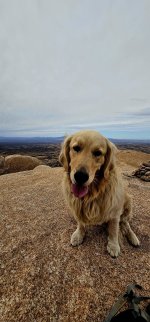 20250210_111001_copy_1200x2570.jpg 20250210_111001_copy_1200x2570.jpg