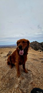 20250210_110910_copy_1200x2570.jpg 20250210_110910_copy_1200x2570.jpg