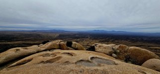 20250210_110541_copy_1200x560.jpg 20250210_110541_copy_1200x560.jpg