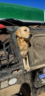 20250211_094650_copy_1200x2570.jpg 20250211_094650_copy_1200x2570.jpg