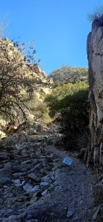 20250211_101500_copy_1200x2570.jpg 20250211_101500_copy_1200x2570.jpg