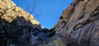 20250211_102106_copy_1200x560.jpg 20250211_102106_copy_1200x560.jpg