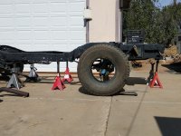 IMG_20250222_120858110 copy.jpg