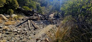 20250211_113036_copy_1200x560.jpg 20250211_113036_copy_1200x560.jpg