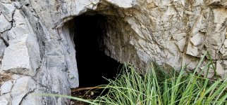 20250211_121459_copy_1200x560.jpg 20250211_121459_copy_1200x560.jpg