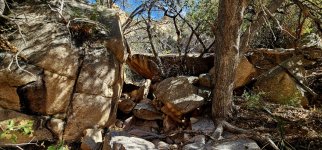 20250211_134642_copy_1200x560.jpg 20250211_134642_copy_1200x560.jpg