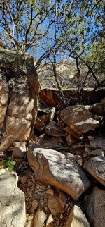 20250211_134649_copy_1200x2570.jpg 20250211_134649_copy_1200x2570.jpg