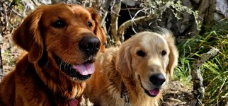 20250211_121854_copy_1200x560.jpg 20250211_121854_copy_1200x560.jpg