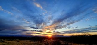 20250210_175858_copy_1600x747.jpg 20250210_175858_copy_1600x747.jpg