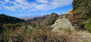 20250211_121318_copy_1200x560.jpg 20250211_121318_copy_1200x560.jpg