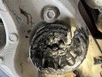 IMG_5629.jpg IMG_5629.jpg