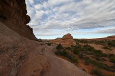 DSC_1246.JPG
