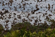 K1600_8R0A0603.JPG K1600_8R0A0603.JPG