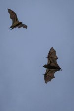 K1600_8R0A0614.JPG K1600_8R0A0614.JPG