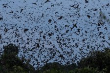 K1600_8R0A0781.JPG K1600_8R0A0781.JPG