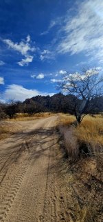 20250212_104236_copy_349x747.jpg 20250212_104236_copy_349x747.jpg