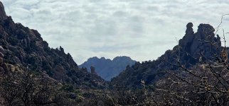 20250212_103243_copy_1600x747.jpg 20250212_103243_copy_1600x747.jpg