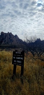 20250212_102450_copy_349x747.jpg 20250212_102450_copy_349x747.jpg