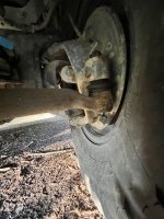 IMG_6596.jpeg