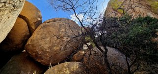 20250212_111759_copy_1600x747.jpg 20250212_111759_copy_1600x747.jpg