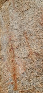 20250212_112414_copy_349x747.jpg 20250212_112414_copy_349x747.jpg