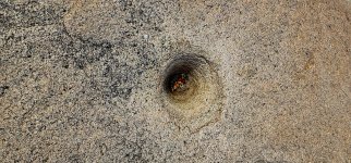 20250212_112222_copy_1600x747.jpg 20250212_112222_copy_1600x747.jpg