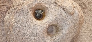 Screenshot_20250212_133753_Gallery_copy_1600x747.jpg Screenshot_20250212_133753_Gallery_copy_1600x747.jpg