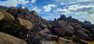 20250212_112243_copy_1600x747.jpg 20250212_112243_copy_1600x747.jpg