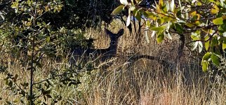 20250213_095242_copy_1600x747.jpg 20250213_095242_copy_1600x747.jpg