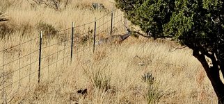 20250213_095105_copy_1600x747.jpg 20250213_095105_copy_1600x747.jpg