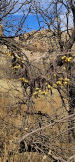 20250212_133101_copy_349x747.jpg 20250212_133101_copy_349x747.jpg