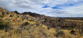 20250212_130759_copy_1600x747.jpg 20250212_130759_copy_1600x747.jpg