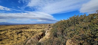 20250212_131215_copy_1600x747.jpg 20250212_131215_copy_1600x747.jpg