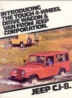 worldcab1.jpg worldcab1.jpg