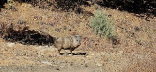 20250213_103334_copy_1600x747.jpg 20250213_103334_copy_1600x747.jpg