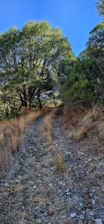 20250213_105415_copy_349x747.jpg 20250213_105415_copy_349x747.jpg