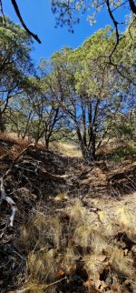 20250213_110548_copy_349x747.jpg 20250213_110548_copy_349x747.jpg