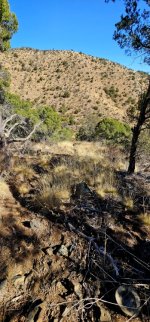 20250213_111739_copy_349x747.jpg 20250213_111739_copy_349x747.jpg