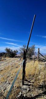 20250213_113744_copy_349x747.jpg 20250213_113744_copy_349x747.jpg