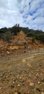 20250213_121643_copy_349x747.jpg 20250213_121643_copy_349x747.jpg