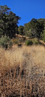 20250213_111819_copy_349x747.jpg 20250213_111819_copy_349x747.jpg