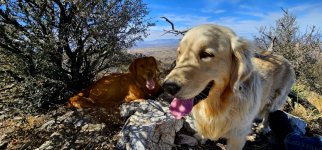 20250213_114147_copy_1600x747.jpg 20250213_114147_copy_1600x747.jpg