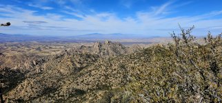 20250213_113936_copy_1600x747.jpg 20250213_113936_copy_1600x747.jpg