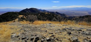 20250213_113948_copy_1600x747.jpg 20250213_113948_copy_1600x747.jpg