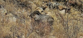 20250213_125533_copy_1600x747.jpg 20250213_125533_copy_1600x747.jpg