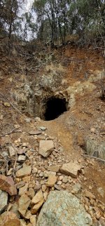 20250213_122131_copy_349x747.jpg 20250213_122131_copy_349x747.jpg