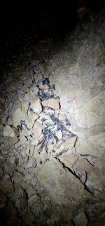 20250213_122425_copy_349x747.jpg 20250213_122425_copy_349x747.jpg