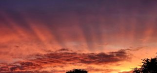 20250214_065351_copy_1200x560.jpg 20250214_065351_copy_1200x560.jpg