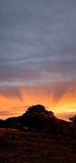 20250214_065552_copy_1200x2570.jpg 20250214_065552_copy_1200x2570.jpg